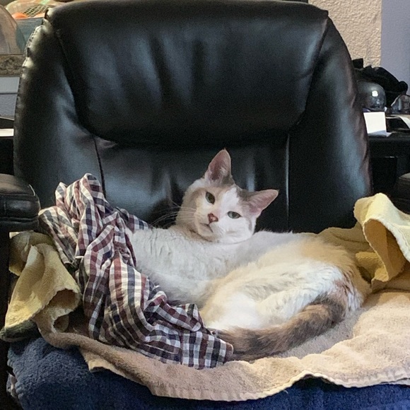 Meet your Posher - Picture 11 of 11